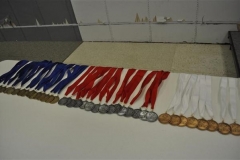 DSC_0583_(Small)_-_Copy